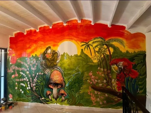 Jungle House Medellin Hostel