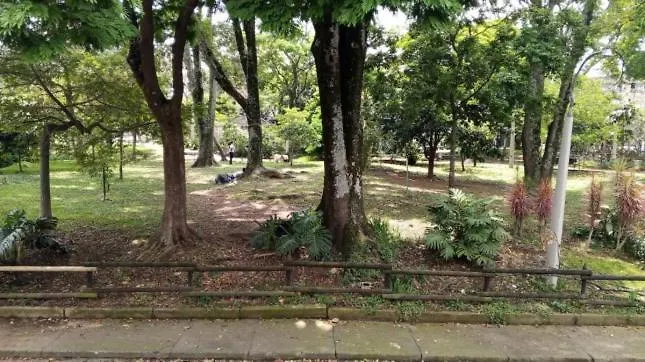 Jungle House Medellin旅舍 麦德林