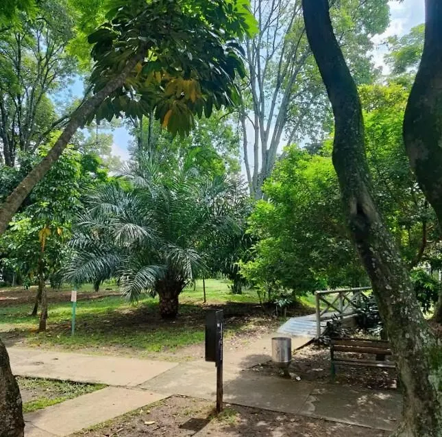 Auberge de jeunesse Jungle House Medellín 0*,
